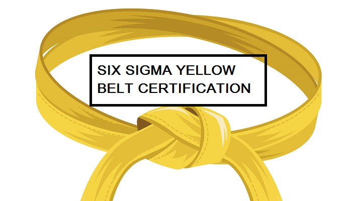 Six Sigma, Six Sigma Career, Six Sigma Jobs, Six Sigma Process, Six Sigma Yellow Belt, Certified Six Sigma Yellow Belt, Certified Six Sigma Yellow Belt Exam, Yellow Belt