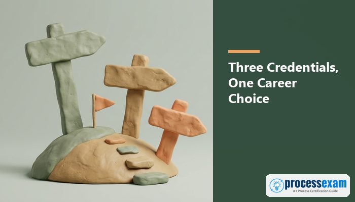 Clay signposts pointing three ways on a small hill, suggesting a choice of credentials