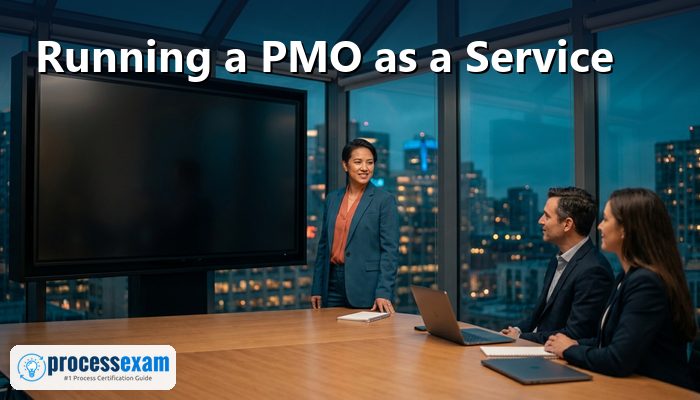 PMO lead presenting a project overview to two executives in a glass meeting room