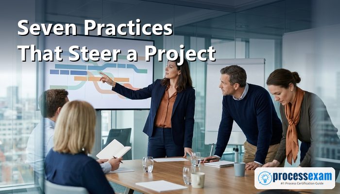 Project manager walking a project board through a plan timeline in a meeting room