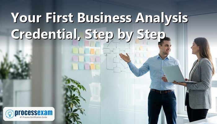 New business analyst mapping requirements on sticky notes with a stakeholder in a bright meeting room