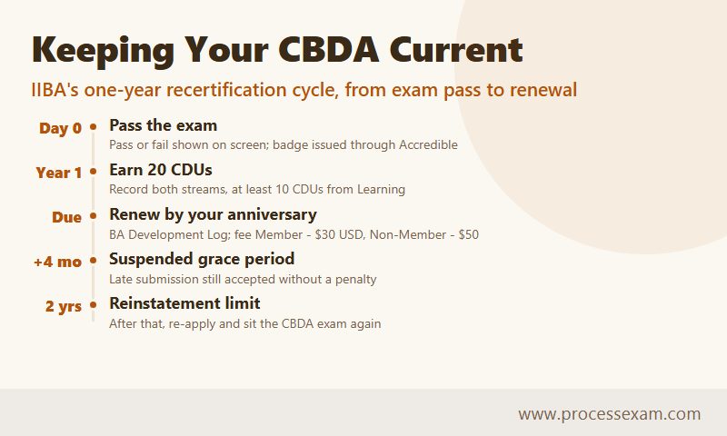 Timeline of the IIBA CBDA yearly renewal, from passing the exam to the two-year reinstatement limit
