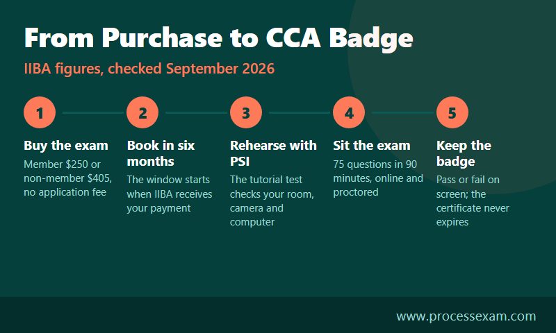 Five steps from buying the IIBA CCA exam through the 75-question remote exam to a certificate that never expires