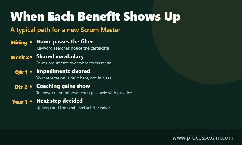 Timeline of five stages from interview to year one showing when Scrum Master certificate benefits appear