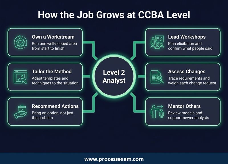 Dark hub infographic of six ways a business analyst's job grows at CCBA level, from owning a workstream to mentoring