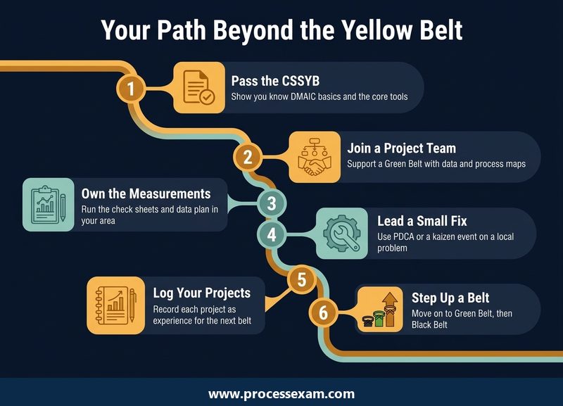 Dark roadmap of six career steps from passing the CSSYB and joining a project team to the next belt