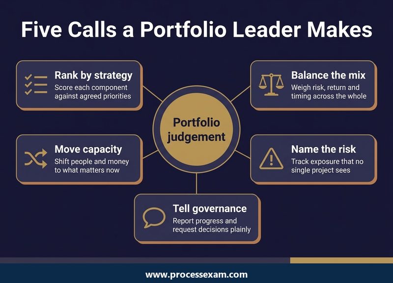 Hub diagram of five portfolio judgement calls the PfMP tests, from ranking by strategy to telling governance