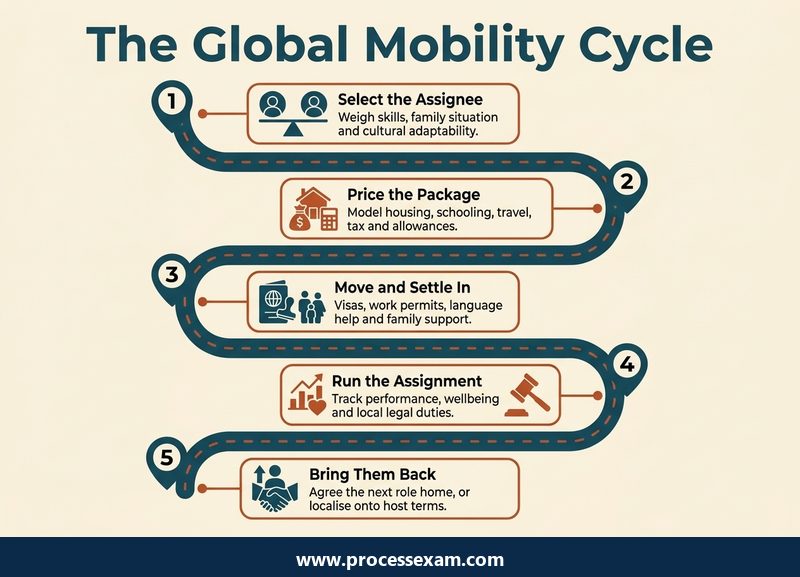 Roadmap of the five stages of an overseas assignment, from selecting the assignee to repatriation or localisation