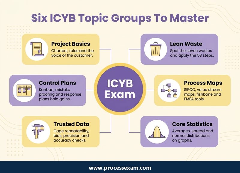 Hub infographic of six ICYB topic groups from project basics and lean waste to statistics and control plans