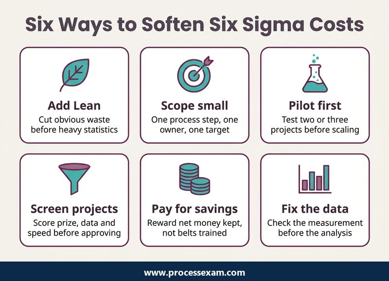 Infographic of six ways to soften Six Sigma costs, from Lean and scoping to pilots and project screening