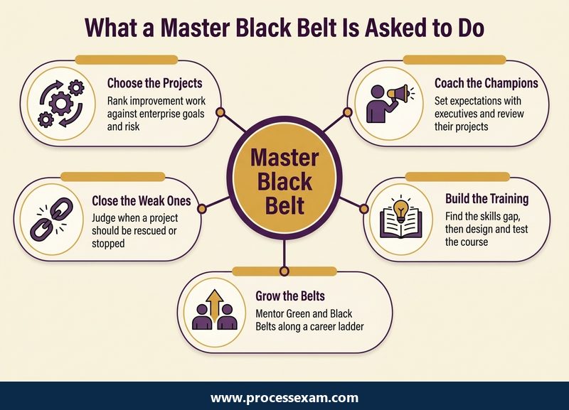 Hub infographic of five Master Black Belt responsibilities from choosing projects to closing them out
