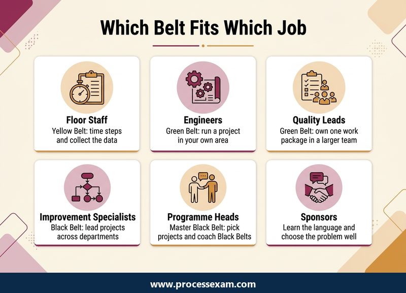 Six cards matching jobs from floor staff to sponsors with the Six Sigma belt each one suits