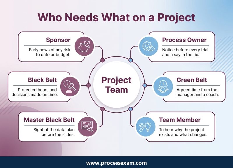 Hub infographic of what the sponsor, process owner, belts and team members each need on a Six Sigma project