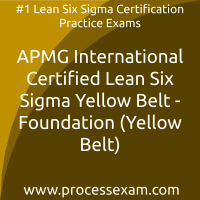 Lean Six Sigma Yellow Belt, Lean Six Sigma Yellow Belt Foundation Dumps PDF