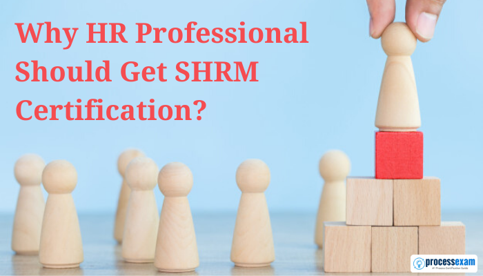 shrm certification, shrm-cp practice test, shrm practice questions, shrm-cp/shrm-scp certification practice exams pdf, shrm exam, shrm test questions, shrm practice test, shrm exam questions, shrm-cp practice test, shrm study guide pdf, shrm-scp, shrm question bank, shrm sample questions, shrm questions, shrm-scp study guide, shrm-cp practice questions, shrm certification practice test, sample shrm questions, shrm-cp practice test online, shrm-cp/shrm-scp certification practice exams, shrm practice tests, shrm-cp practice test online free, shrm-scp exam prep, practice shrm questions, shrm-cp sample questions, shrm-cp test questions, shrm certification sample questions, shrm-cp questions, shrm-cp exam questions, shrm-cp practice exam, shrm practice exams, shrm sample test, shrm practice test questions, shrm bock, SHRM Body of Competency and Knowledge, Society for Human Resource Management, Human Resource, hr professional