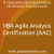 IIBA Agile Analysis Certification (AAC) Practice Exam