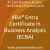 IIBA Entry Certificate in Business Analysis (ECBA) Practice Exam