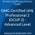 OMG Certified UML Professional 2 (OCUP 2) -  Advanced Level Practice Exam