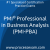 PMI Professional in Business Analysis (PMI-PBA) Practice Exam