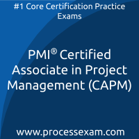 PMI Certified Associate in Project Management (CAPM) Practice Exam