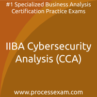 IIBA Cybersecurity Analysis (CCA) Practice Exam