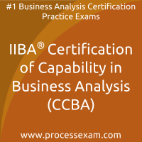 IIBA Certification of Capability in Business Analysis (CCBA) Practice Exam