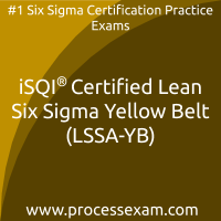 Lean Six Sigma Academy Certified Lean Six Sigma Yellow Belt (LSSA-YB) Practice E