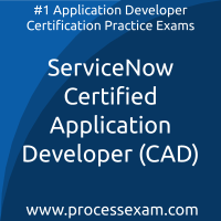 ServiceNow Certified Application Developer (CAD) Practice Exam ServiceNow Certified Application Developer (CAD) Practice Exam
