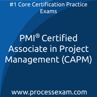 PMI Certified Associate in Project Management (CAPM) Practice Exam PMI Certified Associate in Project Management (CAPM) Practice Exam