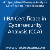 IIBA Certificate in Cybersecurity Analysis (CCA) Practice Exam IIBA Certificate in Cybersecurity Analysis (CCA) Practice Exam