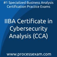 CCA dumps PDF, IIBA Cybersecurity Analysis dumps, free IIBA Cybersecurity Analysis exam dumps, IIBA CCA Braindumps, online free IIBA Cybersecurity Analysis exam dumps